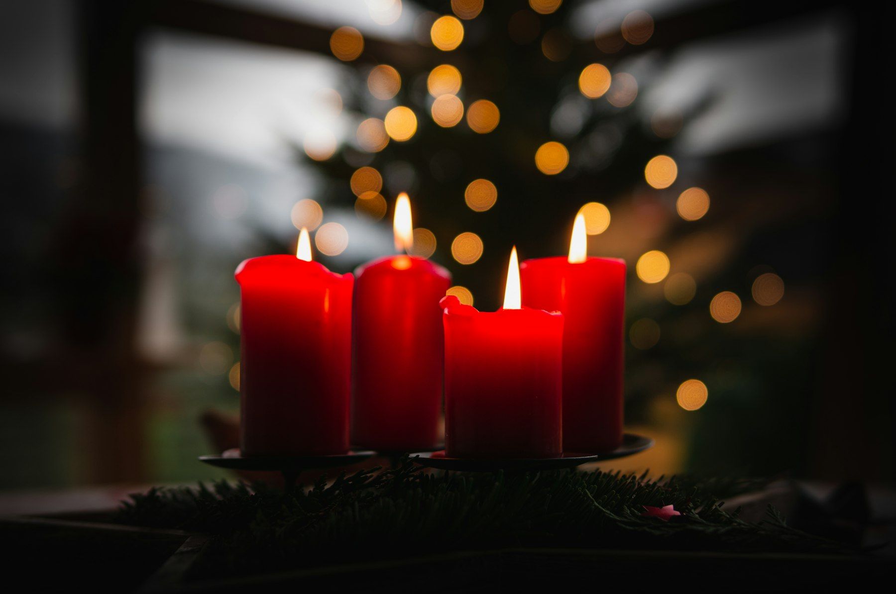 Vier brennende rote Adventskerzen vor einem Tannenbaum mit Lichtern