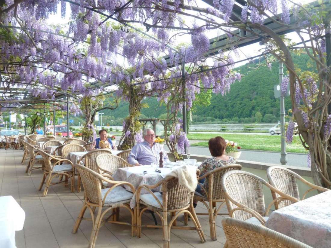 Gäste unter der blühenden Wisteria auf der Rheinterrasse
