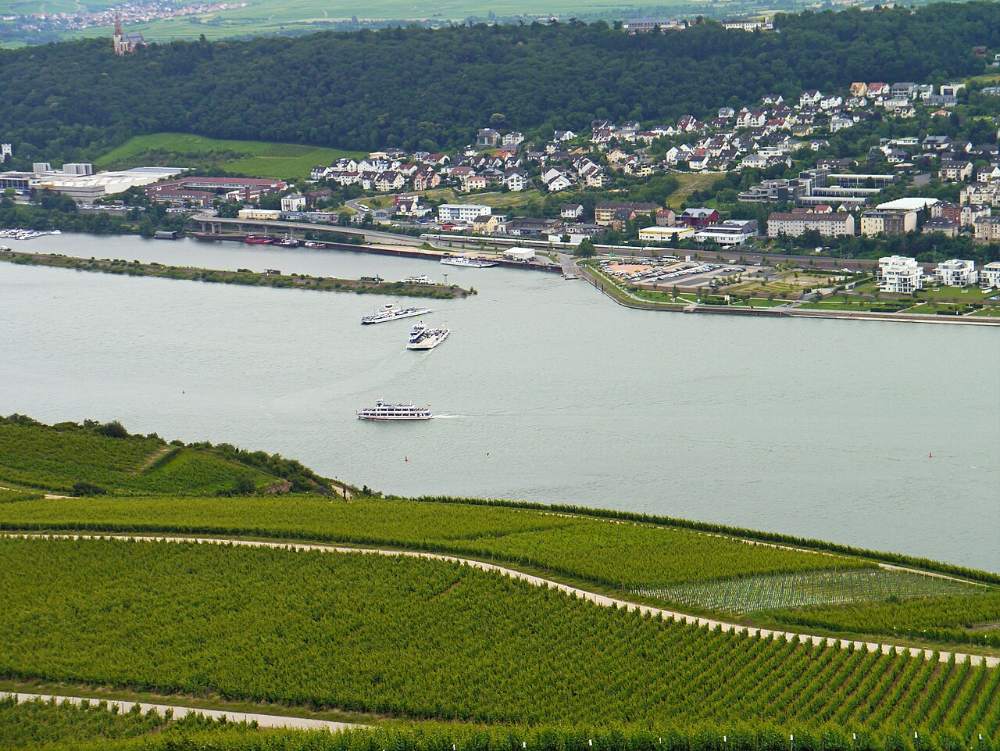 Die Autofähre zwischen Bingen und Rüdesheim
