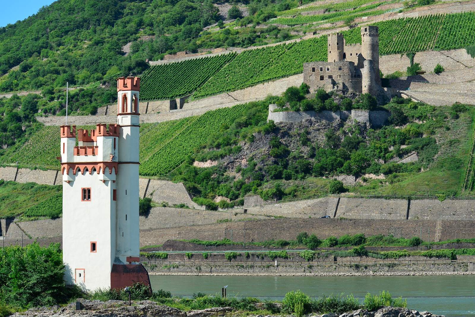 Der Mäuseturm im Rhein, dahinter die Ruine Ehrenfels in den Weinbergen