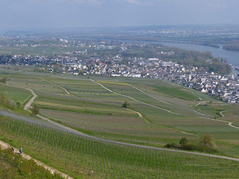 Rüdesheim am Rhein von den Weinbergen aus, mit Seilbahn